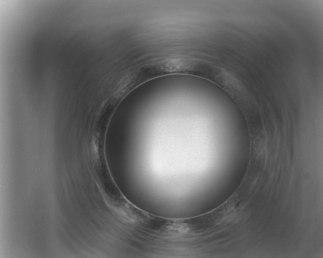 X0000062790214200512261604