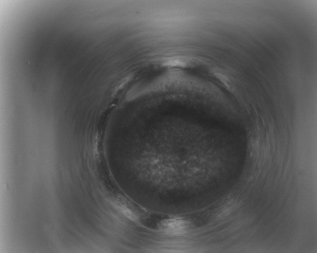 X0000062790219200512261604