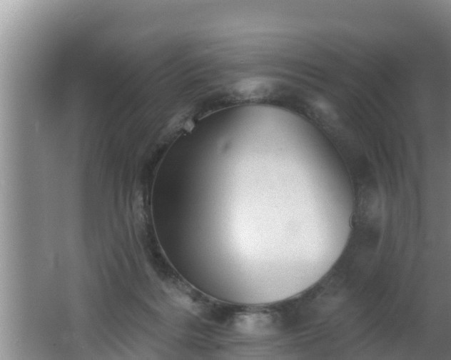 X0000062790220200512261604