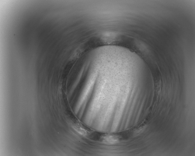 X0000062790221200512261604