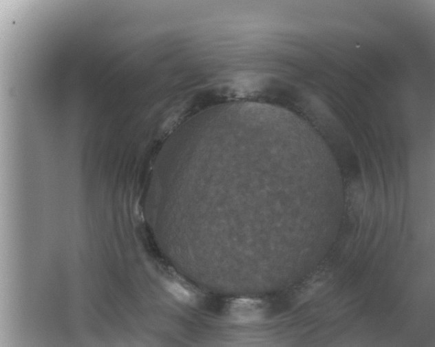 X0000062790222200512261604