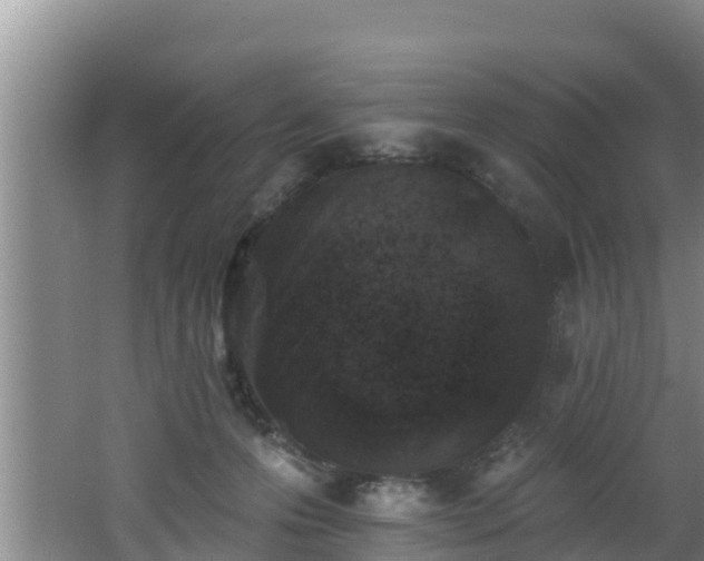 X0000062790223200512261604