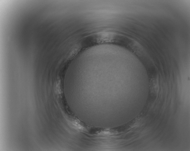 X0000062790224200512261604