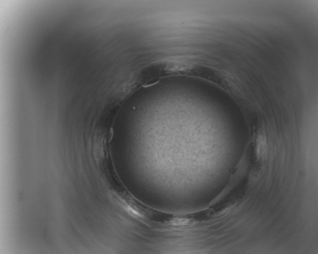 X0000062790227200512261604