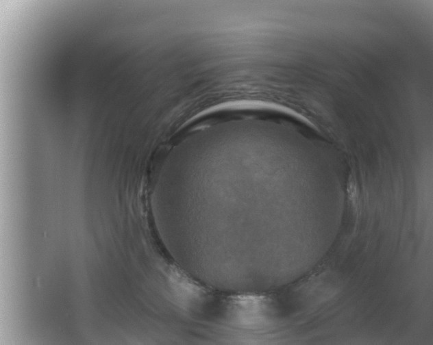 X0000062790233200512261604