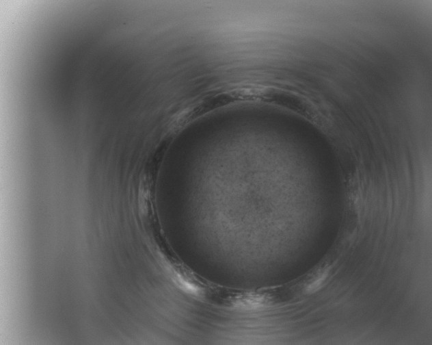 X0000062790235200512261604