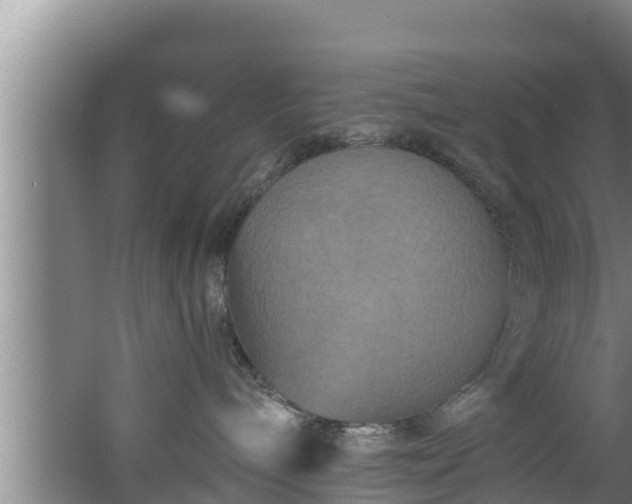 X0000062790240200512261603