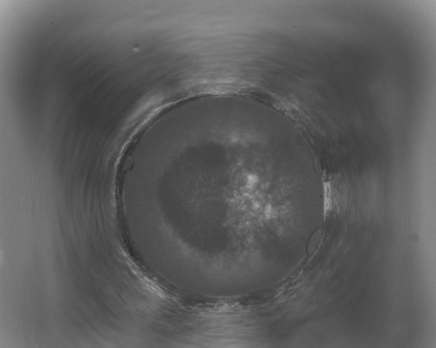 X0000062790243200512261603