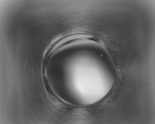 X0000062790244200512261603