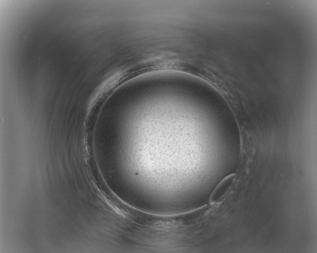 X0000062790245200512261603