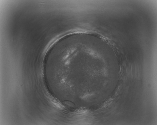 X0000062790247200512261603