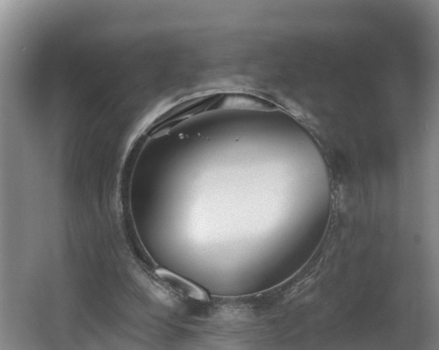 X0000062790248200512261603