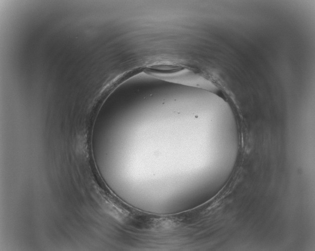 X0000062790249200512261603