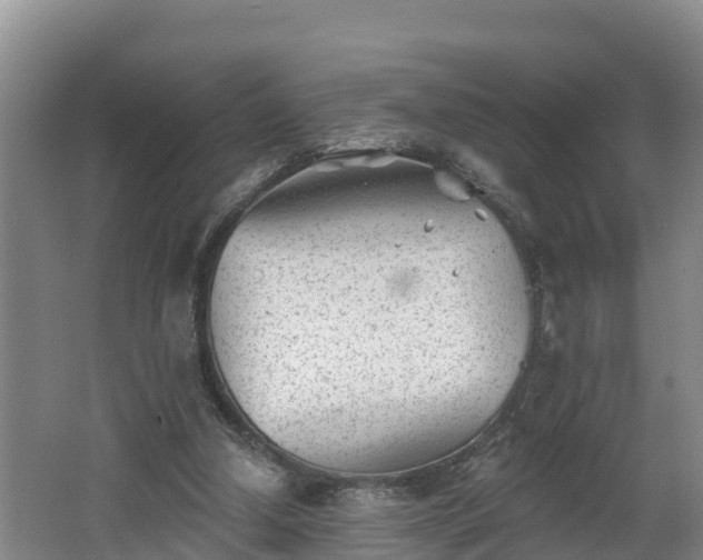 X0000062790250200512261603