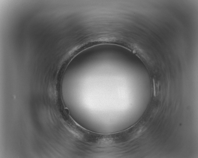 X0000062790252200512261603