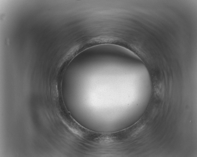 X0000062790254200512261603