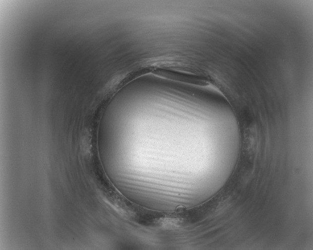 X0000062790255200512261603