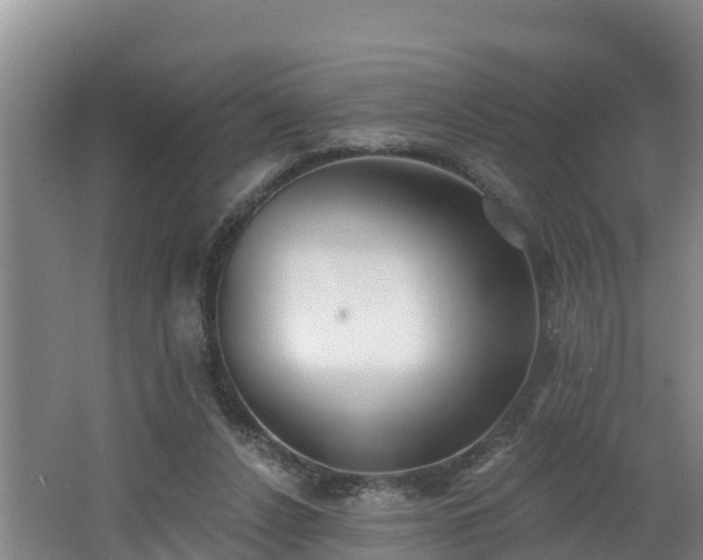 X0000062790256200512261603