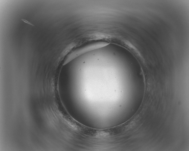 X0000062790257200512261603