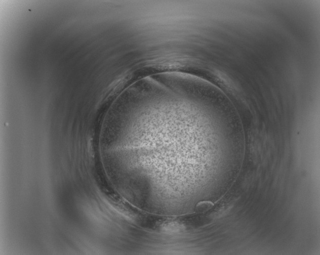 X0000062790258200512261603