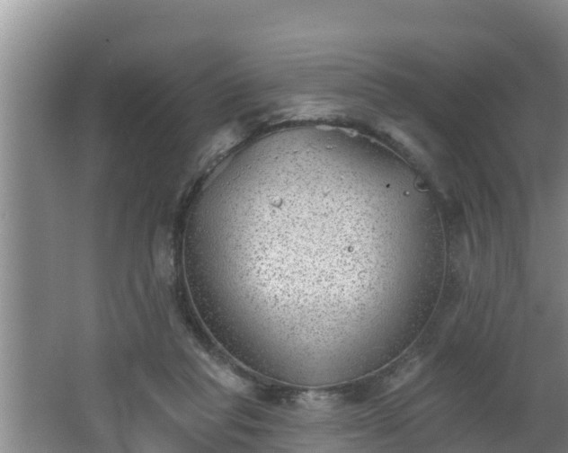 X0000062790261200512261603