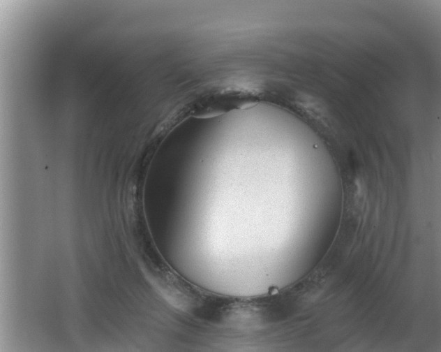 X0000062790263200512261603