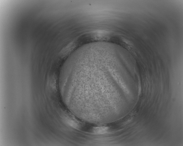 X0000062790266200512261603