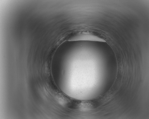 X0000062790270200512261603