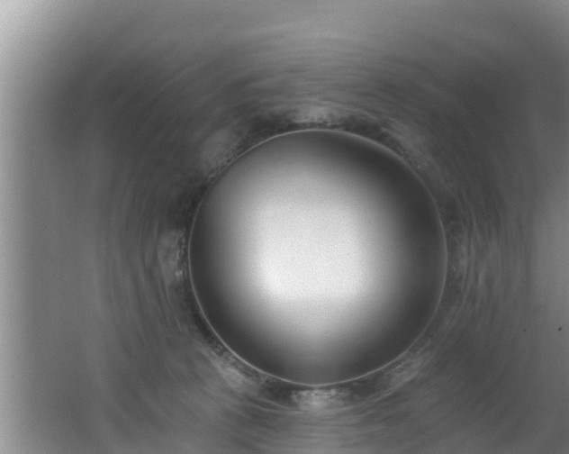 X0000062790273200512261603