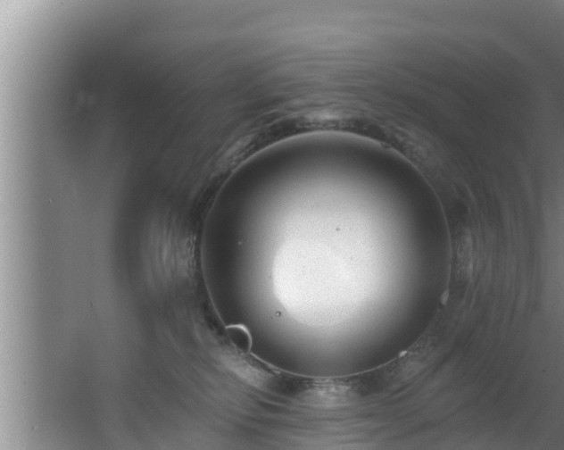 X0000062790278200512261603