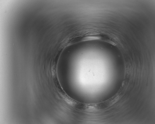 X0000062790285200512261603