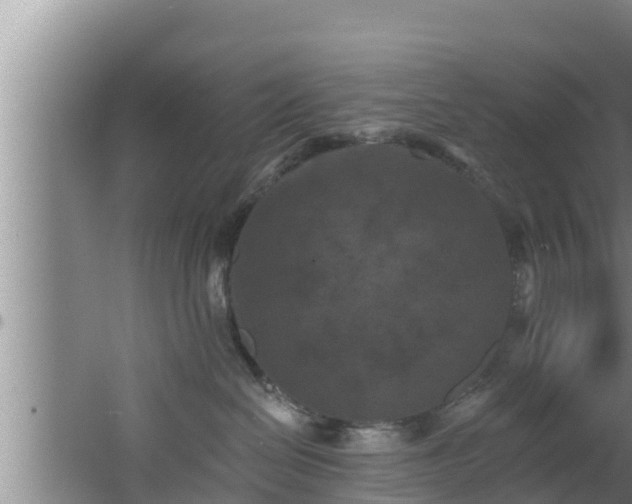 X0000062790286200512261603