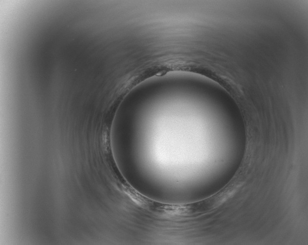 X0000062790288200512261603