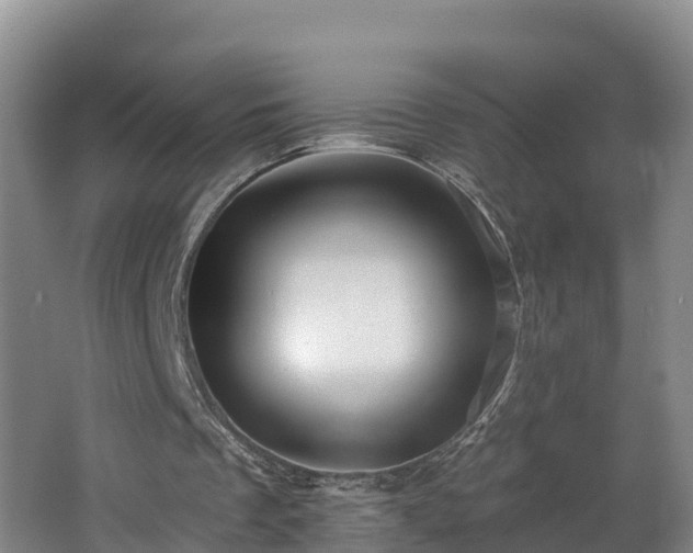 X0000062790289200512261603