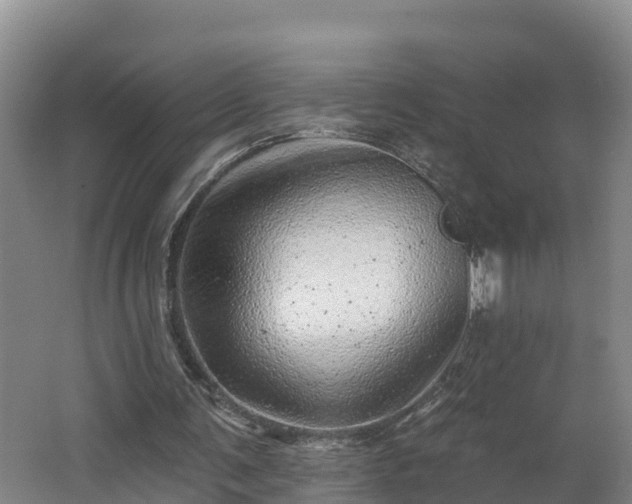 X0000062790291200512261603