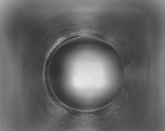 X0000062790292200512261603