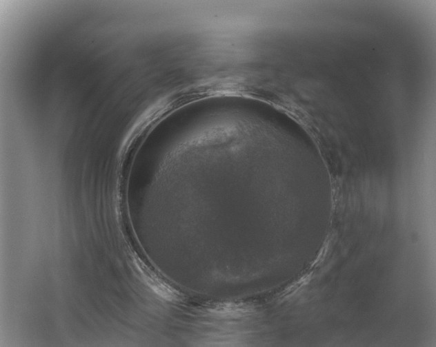 X0000062790293200512261603