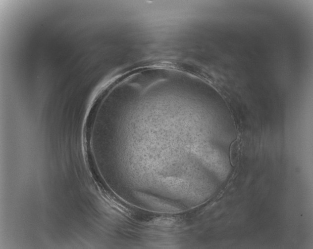 X0000062790294200512261603