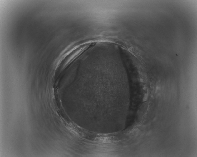 X0000062790295200512261603