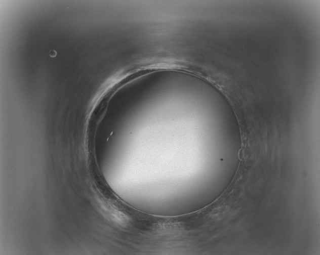 X0000062790296200512261603