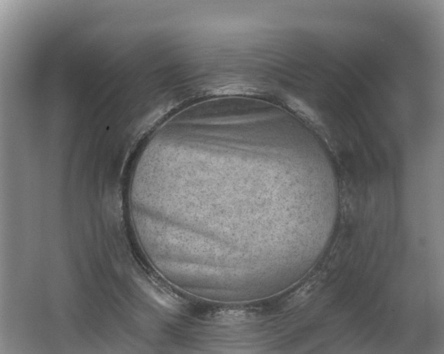 X0000062790298200512261602