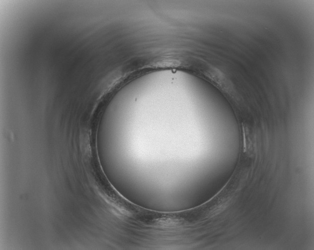 X0000062790300200512261602