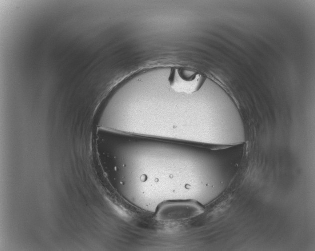 X0000062790301200512261602