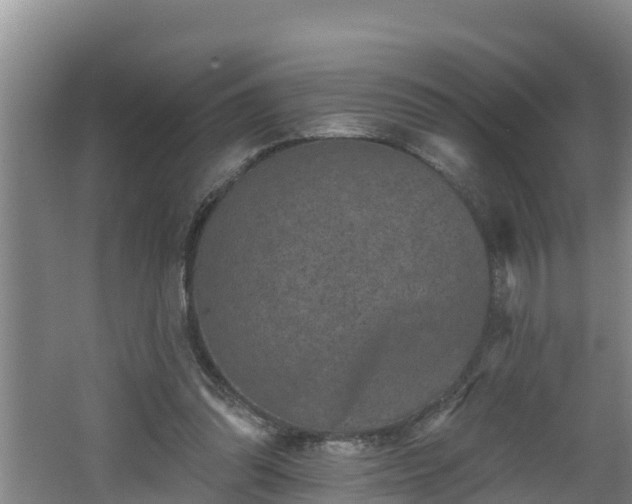 X0000062790302200512261602