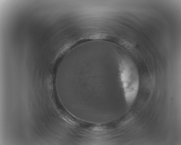 X0000062790303200512261602