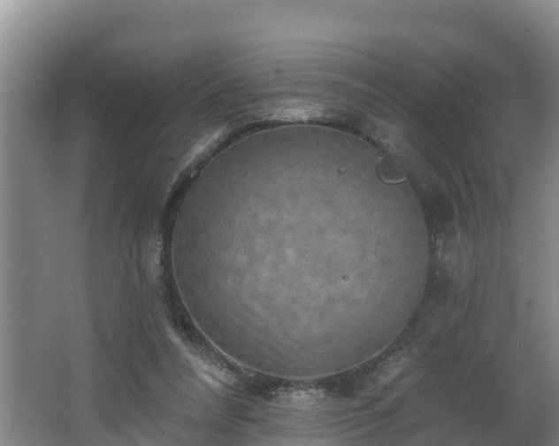 X0000062790304200512261602