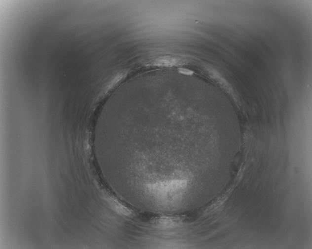 X0000062790305200512261602