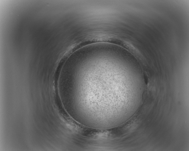 X0000062790306200512261602