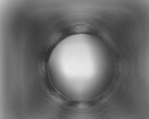 X0000062790308200512261602