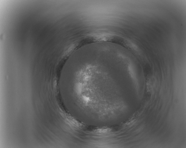 X0000062790314200512261602